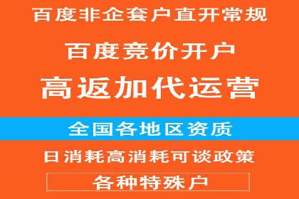 谷歌竞价广告在电商行业的运用案例